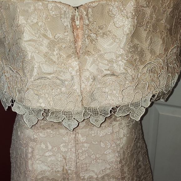Cachet by Bari Protas lace Prom Dress 1980's - Picture 7 of 16